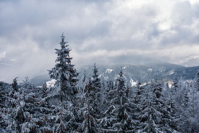 Winter im Riesengebirge bei Benecko par Rico Ködder