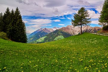 Am Meraner Höhenweg in Südtirol von Reiner Würz / RWFotoArt