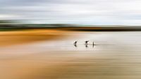 Sur la plage de Port Macquarie panoramique