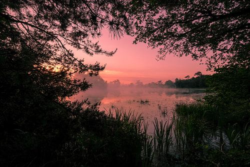 Een magische ochtend