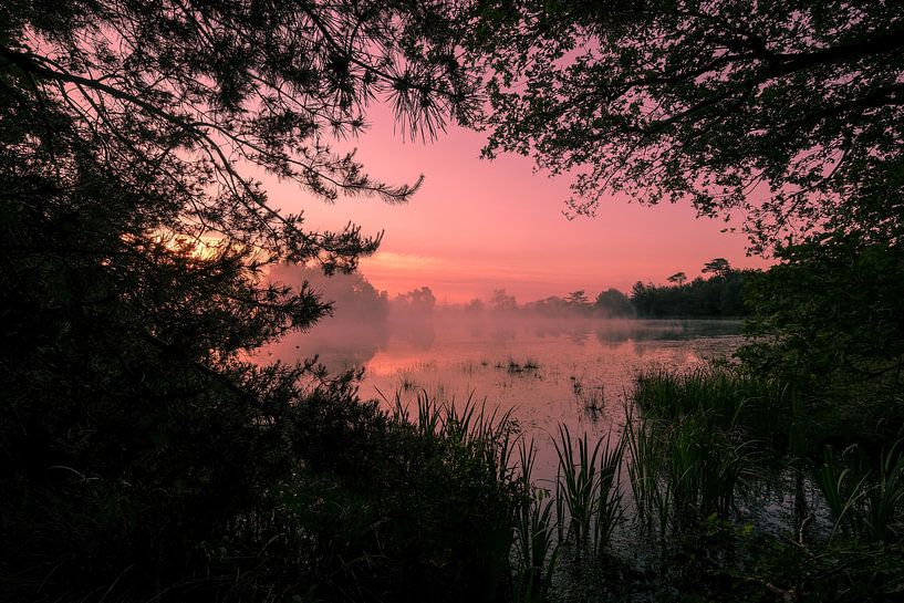 A magical morning by Moetwil en van Dijk - Fotografie