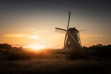 Mühle Die Zaandplatte im goldenen Sonnenuntergang