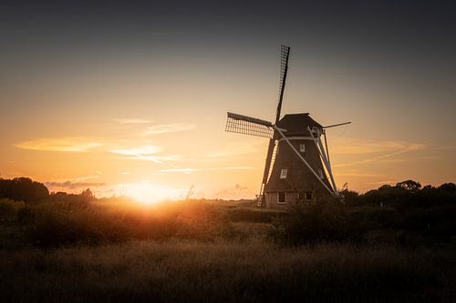 Mill The Zaandplatte in golden sunset