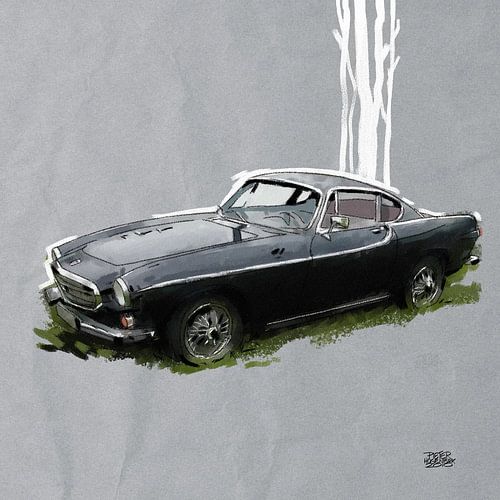 Volvo P1800s