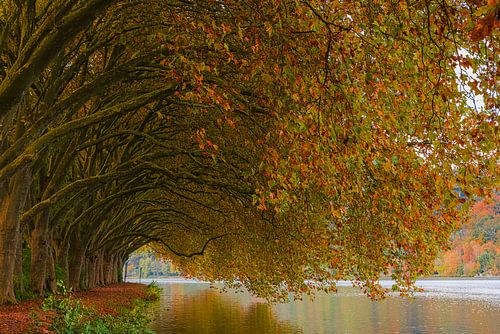 Herfst bij de Baldeneysee