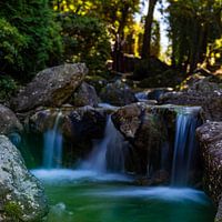 Waterval in het bos