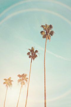 Zonnige Cali palmboom van Kathrin Pienaar