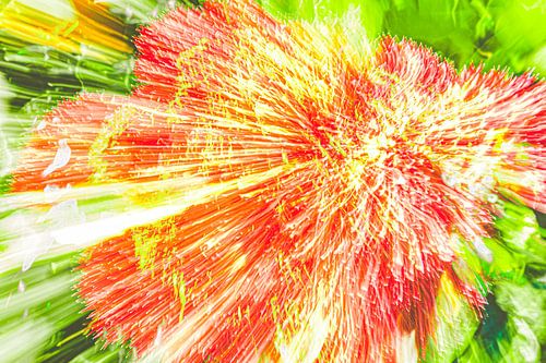 bloem bloem van Jan Peter Jansen