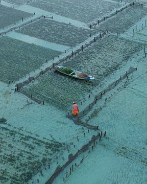 Der Tagesrhythmus von Seegrasbauern in Indonesien von Ewold Kooistra