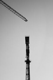 Kräne von Anton Hammenecker