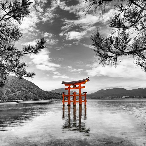 Vermiljoen torii van het Itsukushima heiligdom op Miyajima | colourkey