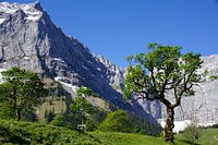 Großer Ahornboden in der Eng bei Hinterriß – beeindruckende Alpenlandschaft im Karwendel. Jetzt Wandbild oder Leinwand kaufen und Bergidylle erleben.