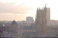 Uitzicht over Parijs met Notre Dame van Phillipson Photography thumbnail