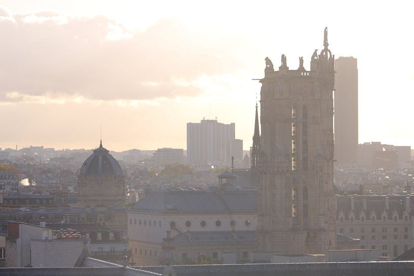Uitzicht over Parijs met Notre Dame van Phillipson Photography