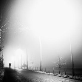 Misty Road van Tim Corbeel