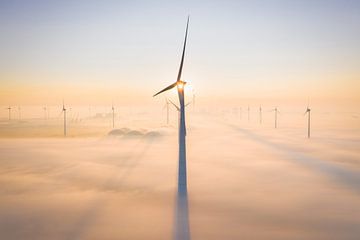 Windturbines in de Mist (zonsopkomst) van Droninger
