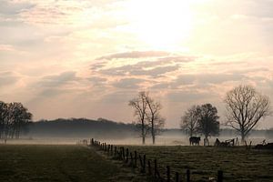 Ochtendgloren van Affect Fotografie