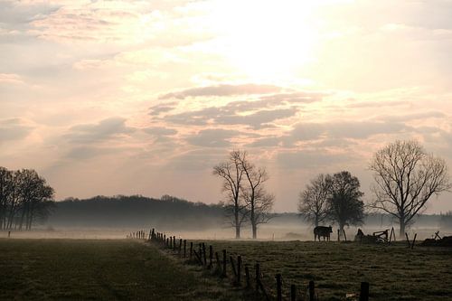 Morgendämmerung