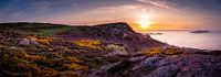 Panorama Howth bij zonsondergang van Ronne Vinkx thumbnail
