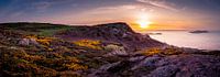 Panorama Howth bij zonsondergang