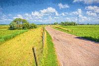 Paysage avec le Westfriese Omringdijk