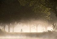 Landschaft mit Radfahrer im nebeligen Morgenlicht von Marcel van Balken Miniaturansicht