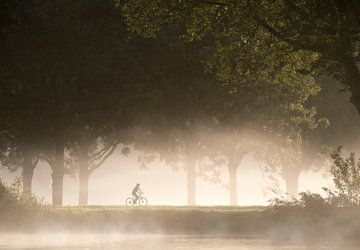 Landschaft mit Radfahrer im nebeligen Morgenlicht
