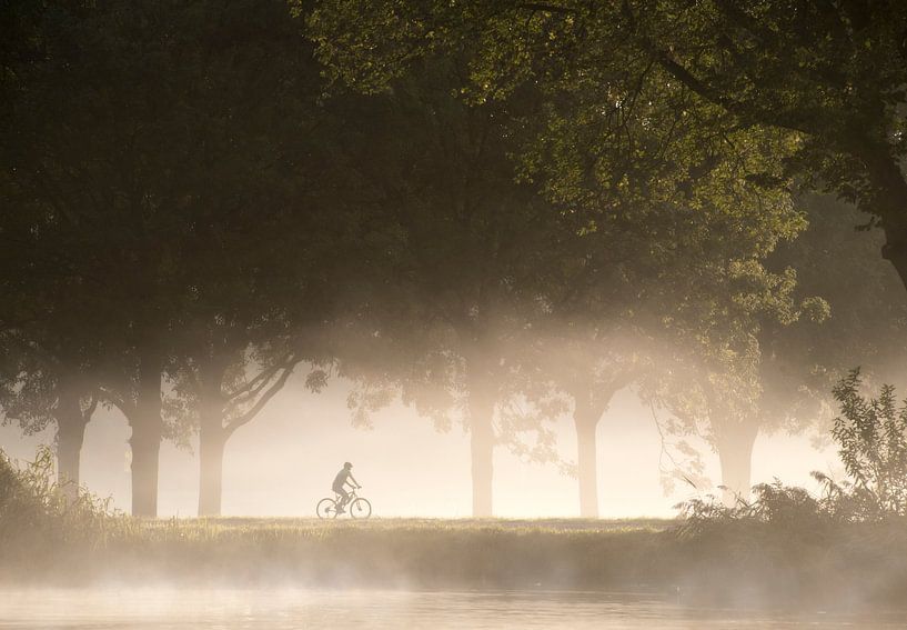 Landschaft mit Radfahrer im nebeligen Morgenlicht von Marcel van Balken