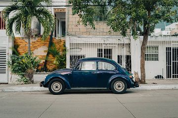 Vintage Car in Paradise I Travel Photography by Lizzy Komen