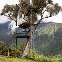 Boomhut in Ecuador - Casa Del Arbol Baños