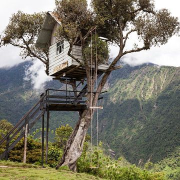Boomhut in Ecuador - Casa Del Arbol Baños van Bart van Eijden