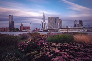 Kop van Zuid vanaf Leuvehoofd van Ronne Vinkx