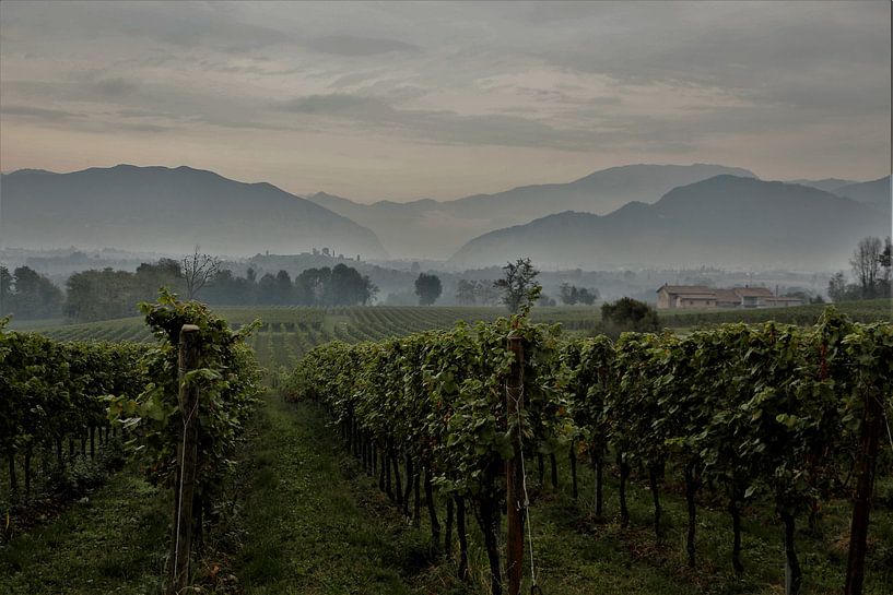 Wine Region Franciacorta by Christel Smits