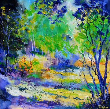 Clearing in the summer sur pol ledent