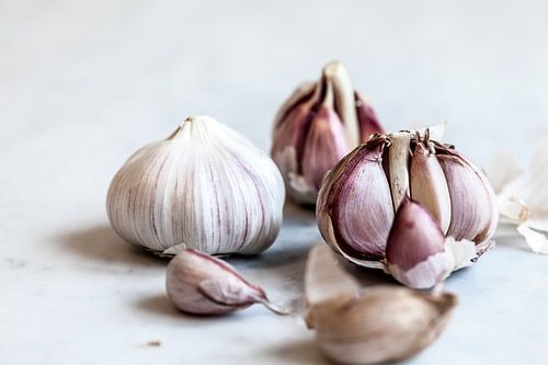 Garlic