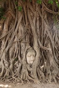 Ayutthaya Thailand von Luc Buthker