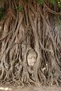 Ayutthaya Thailand van Luc Buthker thumbnail