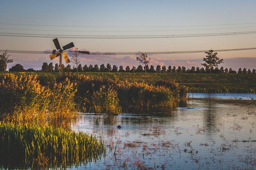 Nouveau Dordt Biesbosch à l'heure d'or par Lizanne van Spanje