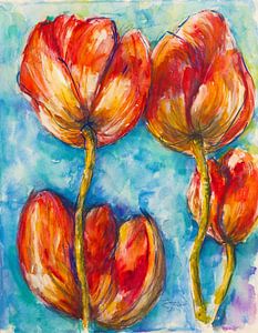 Tulipes rouges de Hollande