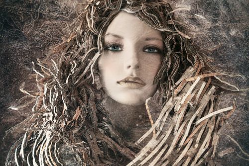 De Leeuwen koning(in)