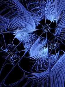 midnight dream