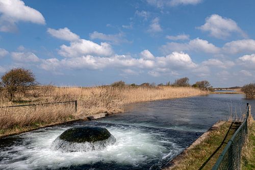 Noord Hollands Duinreservaat