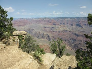 Grand Canyon - Amerika van Fotograaf Jelle
