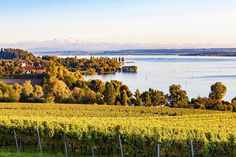 Wijngaarden bij Überlingen aan de Bodensee van Werner Dieterich