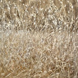 wilde grassen van Christin Lamade