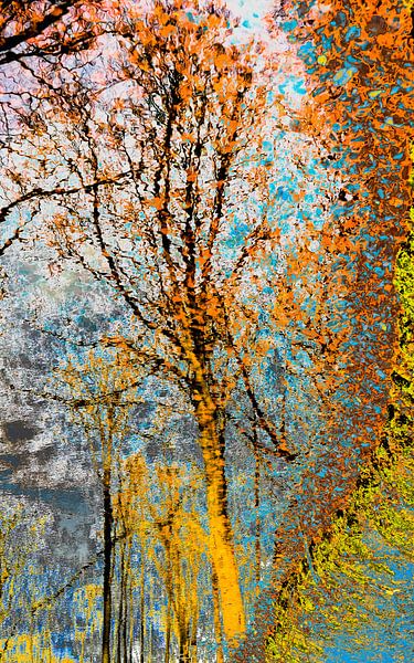 Reflectie in veelkleurigheid van George Brady