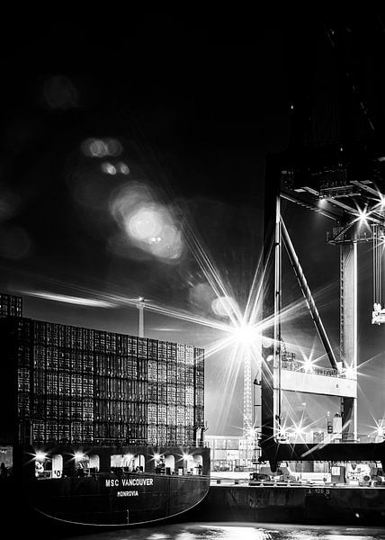 Havens Antwerpen (zwart-wit) van 2BHAPPY4EVER.com photography & digital art