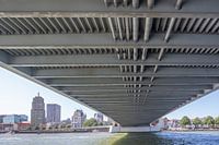 Onder de brug