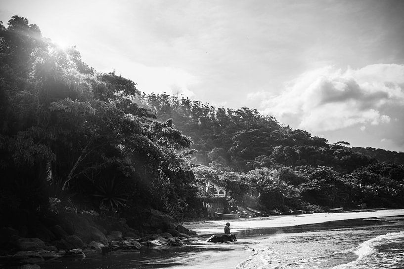 Forest at the beach by Walljar
