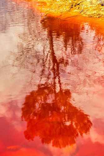 Reflectie